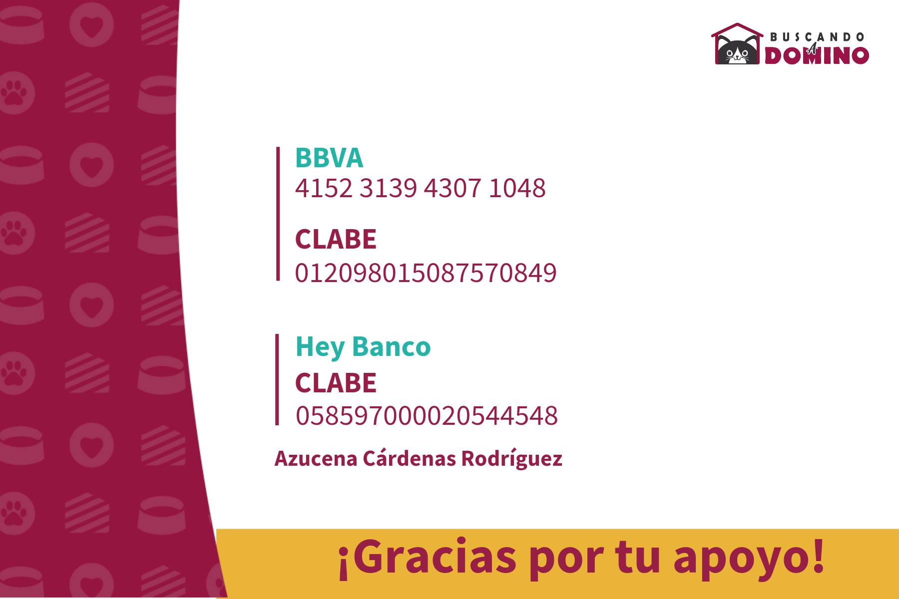 Gatos esperando apoyo